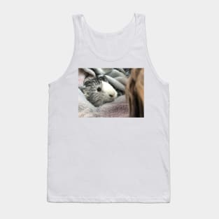 Towel pig Tank Top